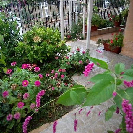 Villa Angela, Traditional Villa In The Village Agios Ioannis Peristerion Eksteriør bilde